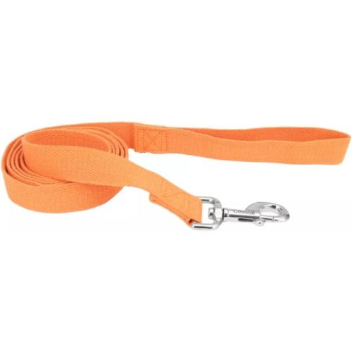 Coastal Pet New Earth Soy Dog Lead Pumpkin Orange